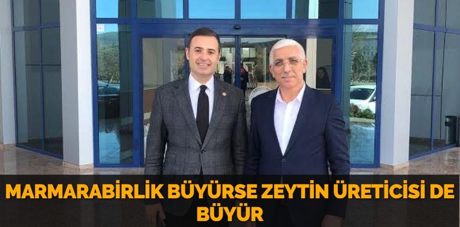 MARMARABİRLİK BÜYÜRSE ZEYTİN ÜRETİCİSİ DE BÜYÜR