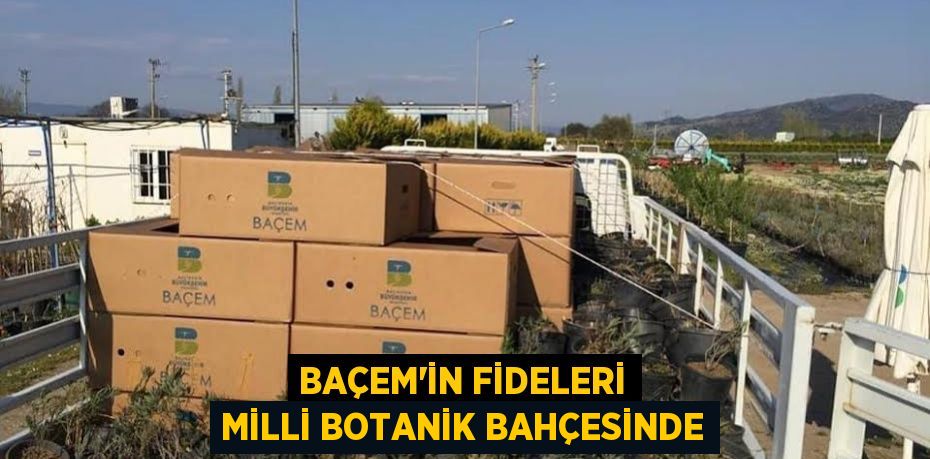 BAÇEM'İN FİDELERİ MİLLİ BOTANİK BAHÇESİNDE