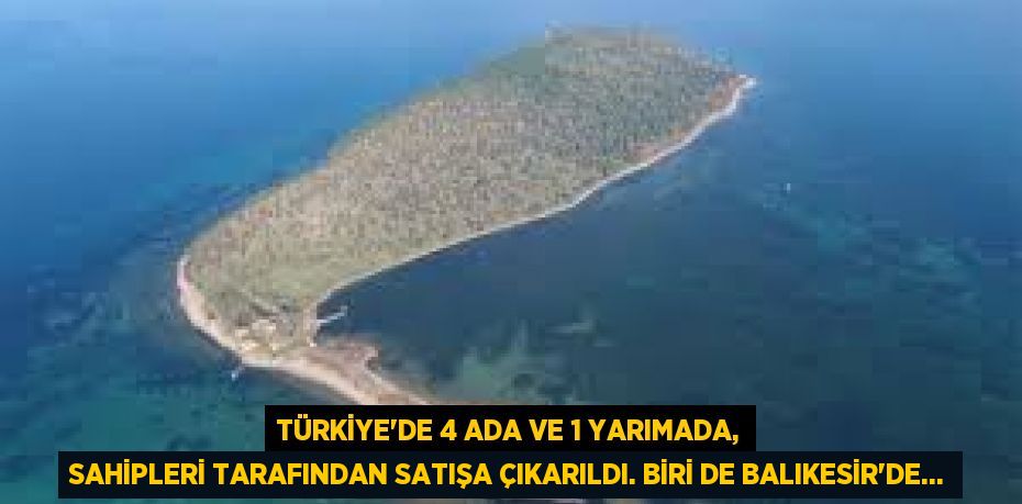 Türkiye'de 4 ada ve 1 yarımada, sahipleri tarafından satışa çıkarıldı. Biri de Balıkesir'de...