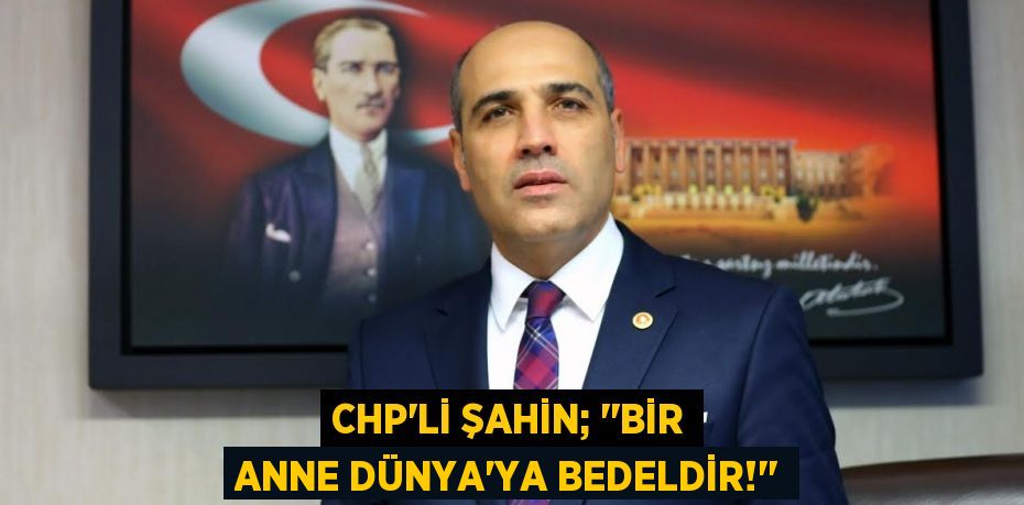 CHP’li ŞAHİN; ‘’Bir Anne Dünya’ya Bedeldir!’’