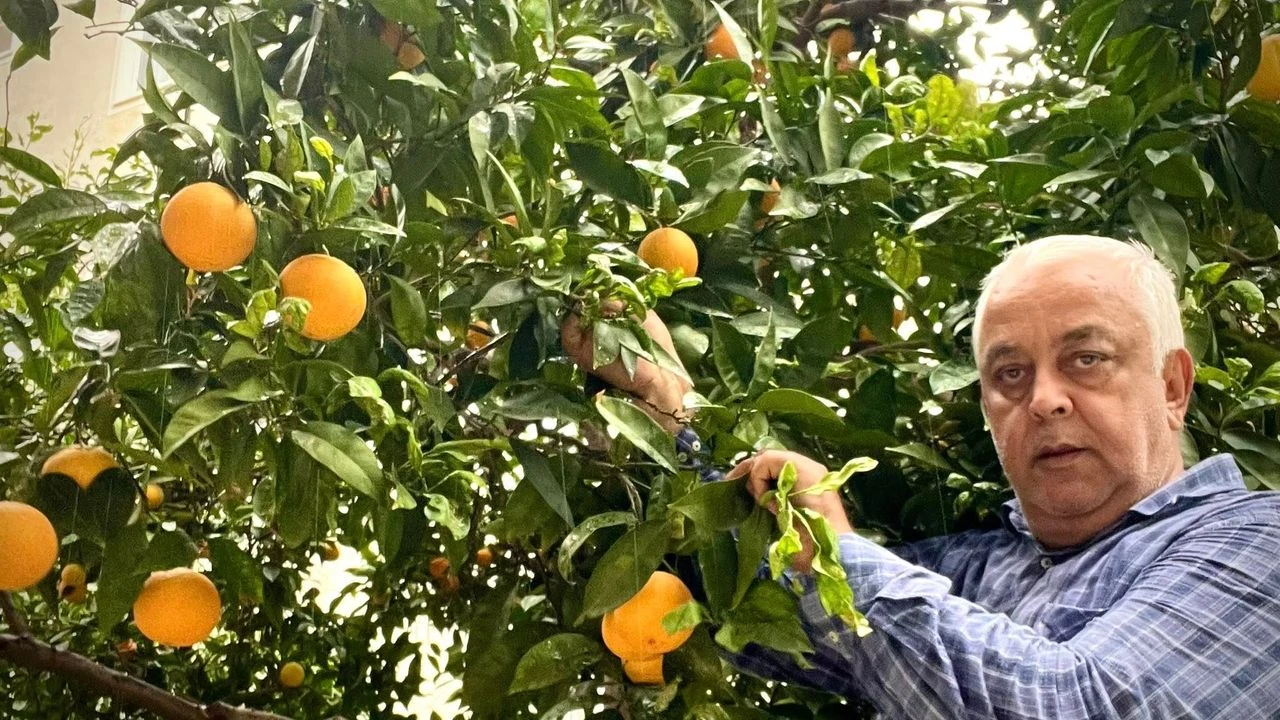 Dalında 50 kuruş, rafında 60 lira!