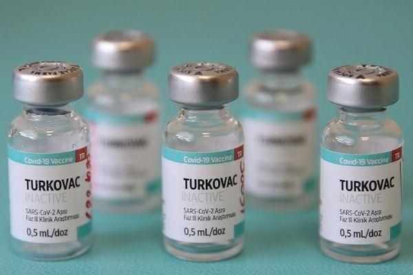 TURCOVAC AŞISI GÜVENLİ Mİ?
