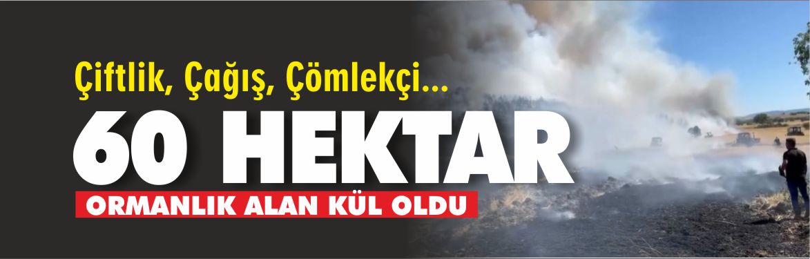 Çağış merkezli yangında 60 hektar ormanlık alan kül oldu