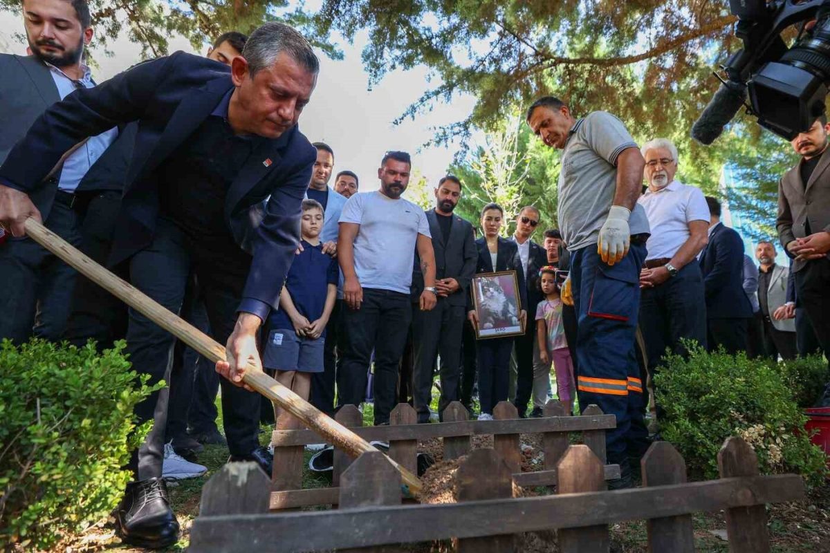 CHP’nin kedisi ’Şero’ Genel Merkez’in bahçesine defnedildi!