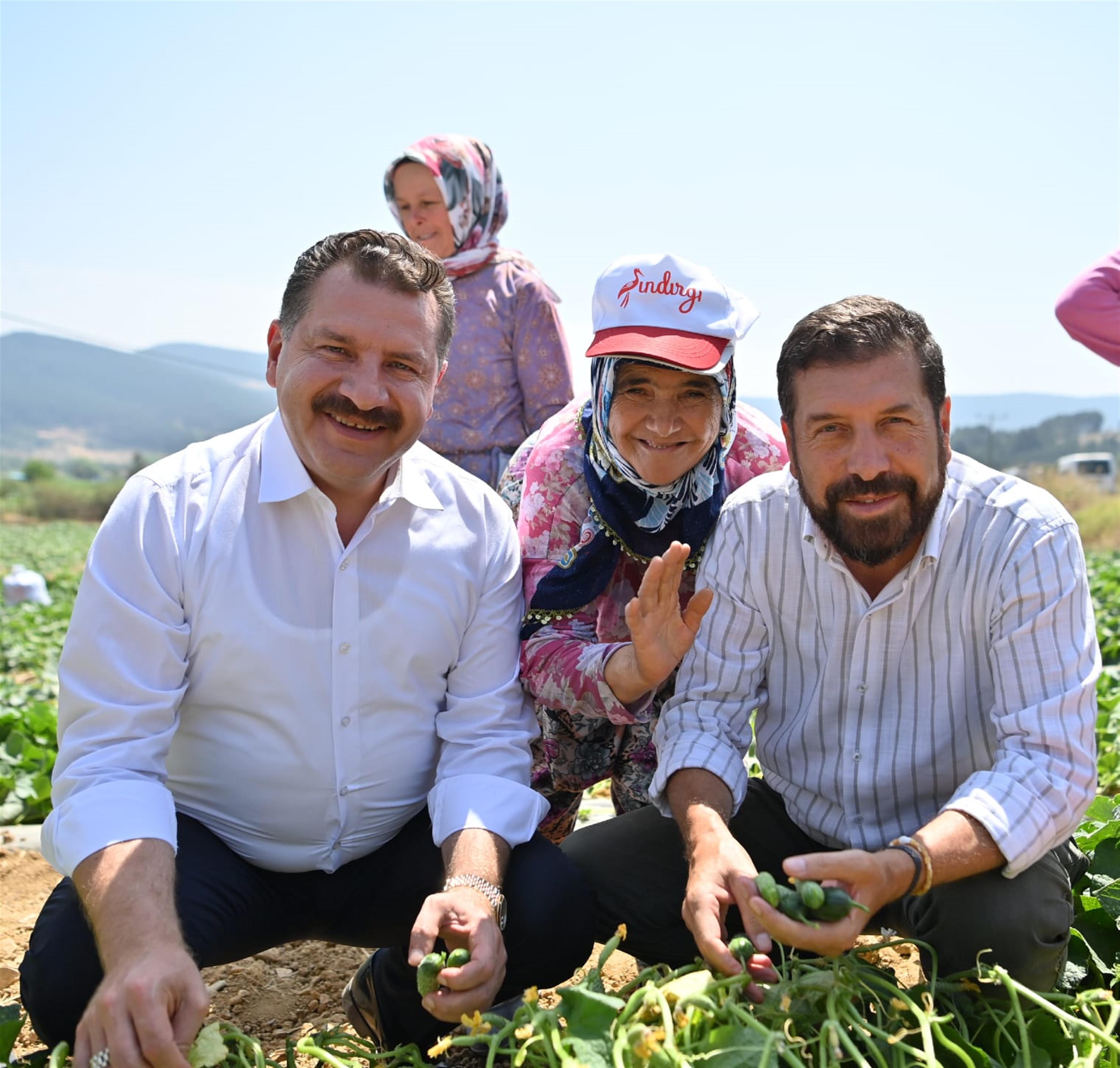 KORNİŞON SALATALIĞI BİNLERCE AİLENİN EKMEK KAPISI