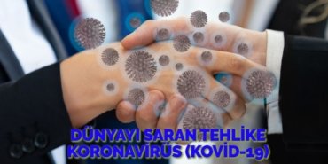 28036240462768529115