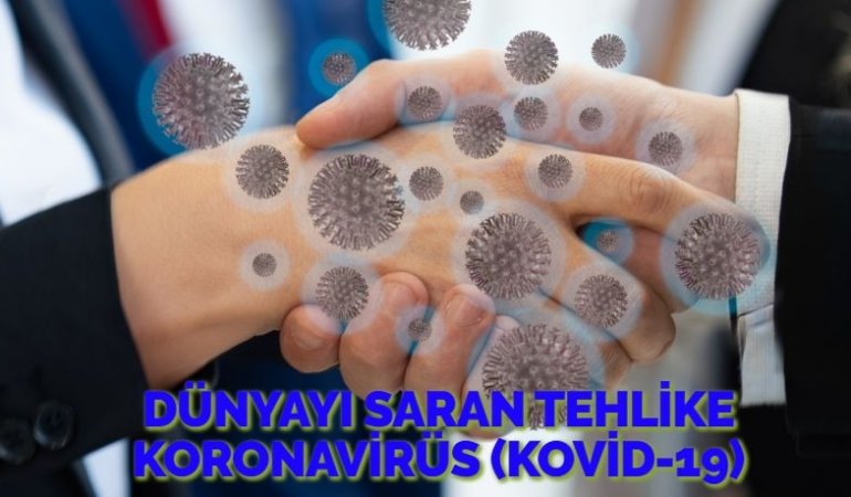 28036240462768529115