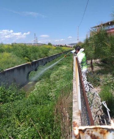 HAŞEREDE 93 bin HEKTARLIK MÜCADELE