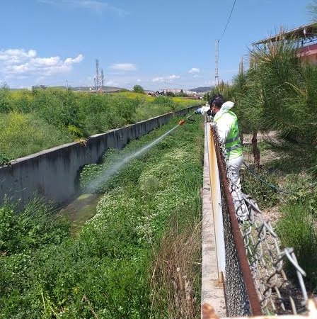 HAŞEREDE 93 bin HEKTARLIK MÜCADELE