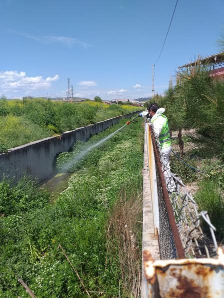 HAŞEREDE 93 bin HEKTARLIK MÜCADELE