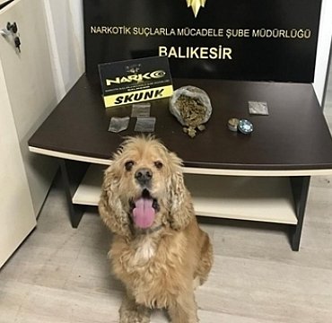 Narkotik köpeği Bath'a alkış!