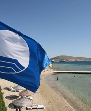 wijoeo_o8ugwuxphhnjaog