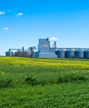 11594893878_banvit_1