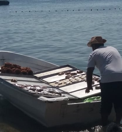 Erdek sahillerinde gıda denetimi sıfır!