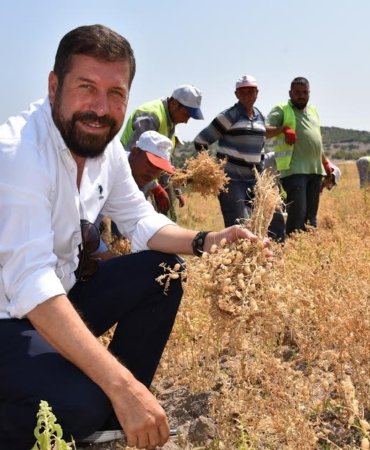 Tarladan Gelen Bereket