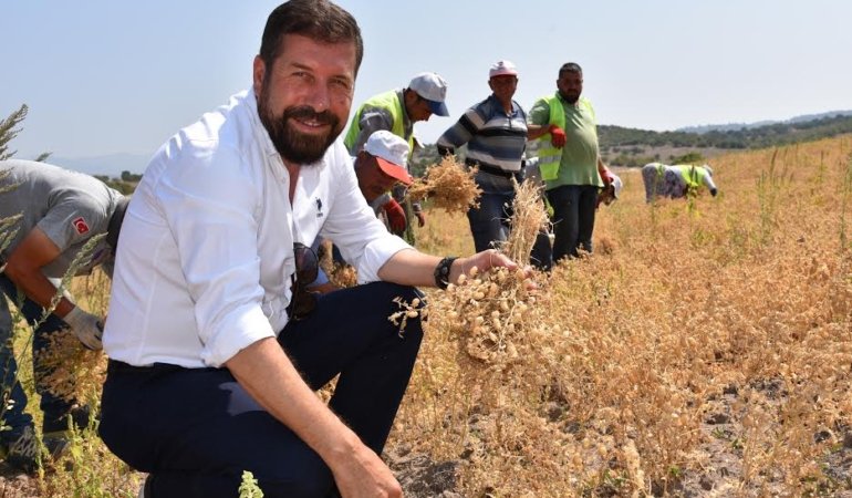 Tarladan Gelen Bereket