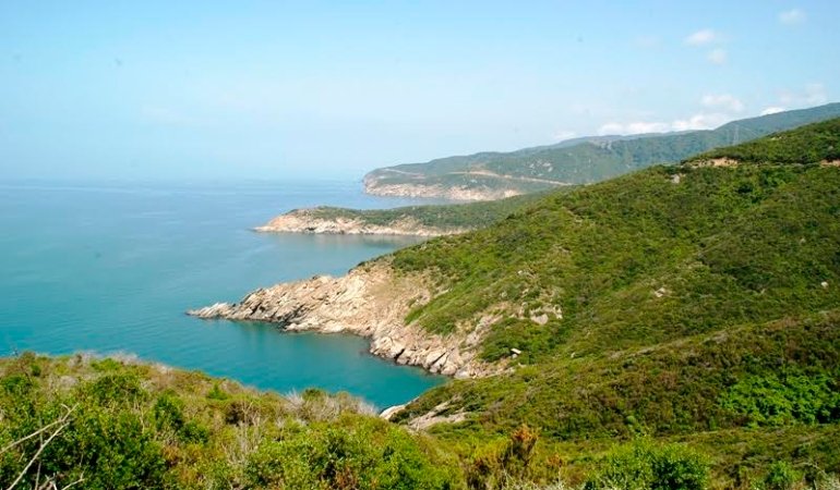 SÖZCÜ gazetesi yer verdi