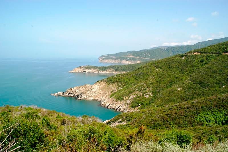 SÖZCÜ gazetesi yer verdi