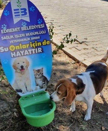 SU ONLAR İÇİN DE HAYATTIR