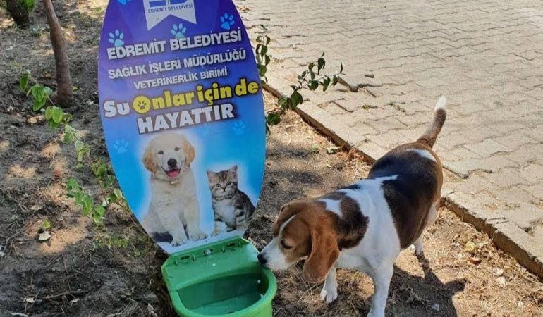SU ONLAR İÇİN DE HAYATTIR