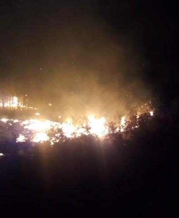 bergama_da_orman_yangini_3_2_13629098_o