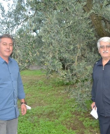 “Erdek’e Zeytin Borsası gerekli”