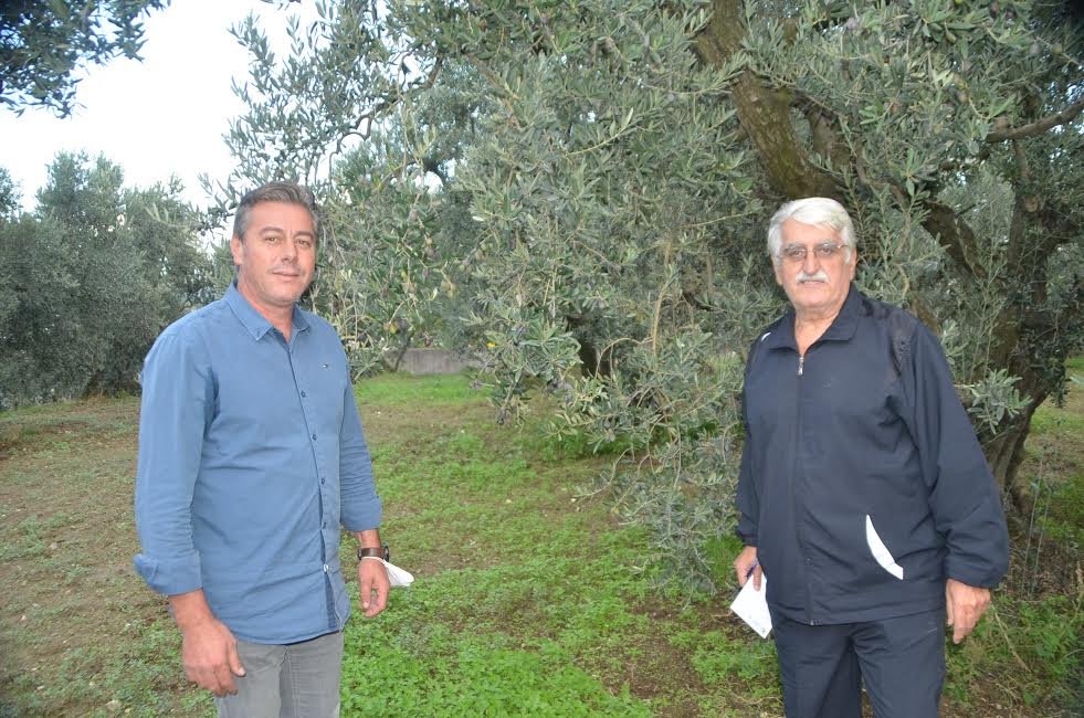 “Erdek’e Zeytin Borsası gerekli”