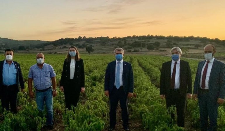 Gökçeyazı Ovası’na 12 Milyon Liralık Ödenek