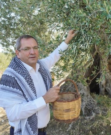 ANIT AĞAÇLARDAN İLK ZEYTİNYAĞI