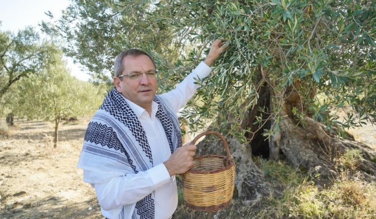 ANIT AĞAÇLARDAN İLK ZEYTİNYAĞI