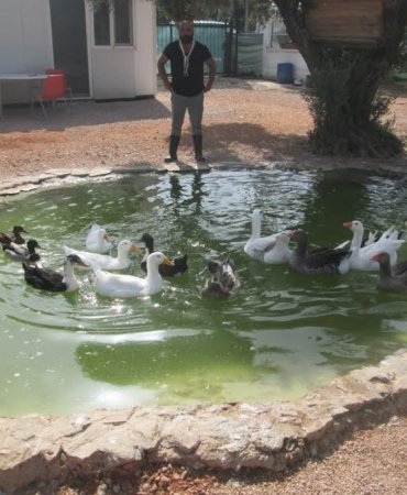 Yer “Unutulmuşlar Kasabası”...Deprem olacağını hisseden hayvanlar gerçeği kanıtlandı