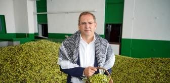 mesut_ergin_dunya_zeytin_agaci_gununu_unutmad_13761317_300