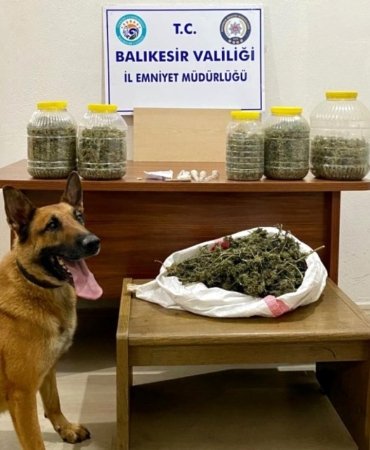 NARKOTİK KÖPEĞİ Nmak'TAN BİNGO