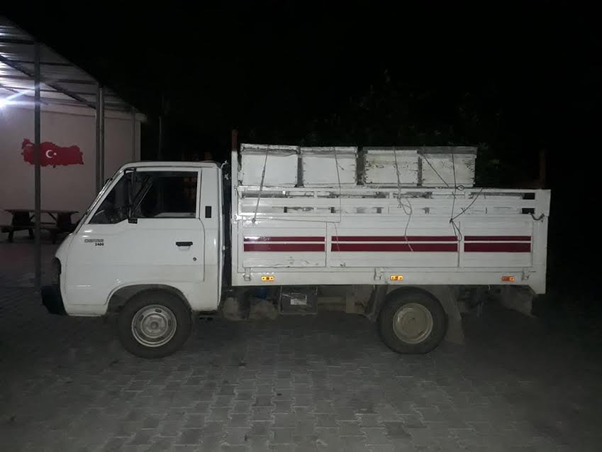 46 arı kovanını çaldı, yakalandı