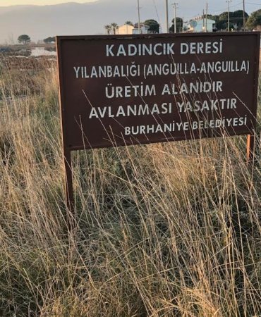 SULAK ALANLAR RANT KAPISI MI ?