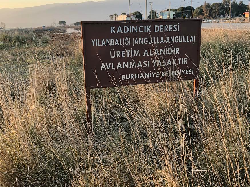 SULAK ALANLAR RANT KAPISI MI ?