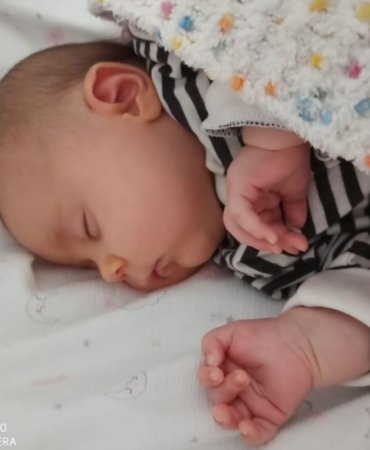 8fd0efc6_7d3b_4c90_b0b4_a50a86df1948