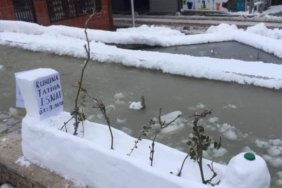 aebda23d_26d2_4090_aef9_5b4b0209c274