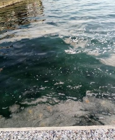 “MARMARA DENİZİ ÖLÜYOR,AĞLAYANI YOK!”