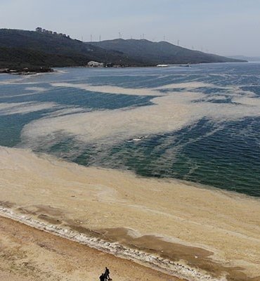 balikesir_valiligi_nden_musilaj_aciklamasi_874742_5