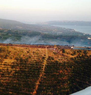 ERDEK’TE 5 HEKTAR MAKİLİK ALAN YANDI