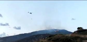 AVŞA’DA ORMAN YANGINI