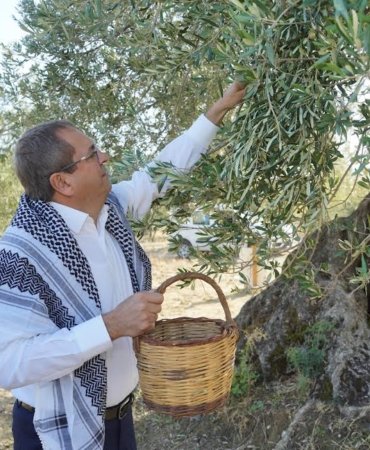 MESUT ERGİN: “DÜNYA ZEYTİN AĞACI GÜNÜ KUTLU OLSUN”