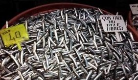 firtina_sebebiyle_balik_fiyatlari_ikiye_katla_14527461_300