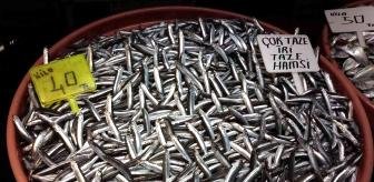 firtina_sebebiyle_balik_fiyatlari_ikiye_katla_14527461_300