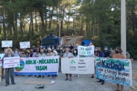 YAŞAM SAVUNUCULARI ODAKLARIN HEDEFİNDE Mİ?