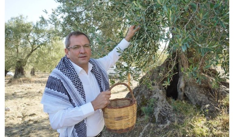 MESUT ERGİN, "ZEYTİNİME DOKUNMA"