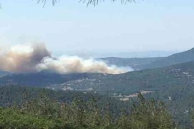 KEPSUT'TA ORMAN YANGINI