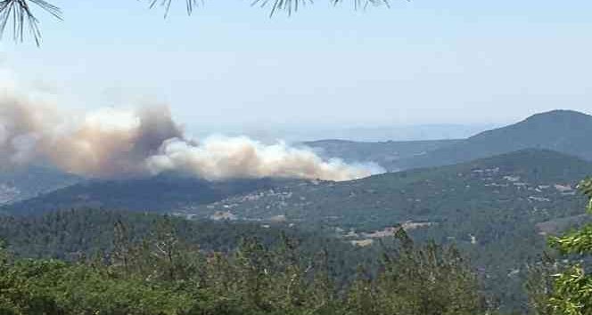 KEPSUT'TA ORMAN YANGINI