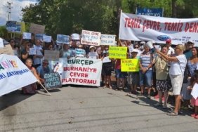 EDREMİT KÖRFEZİ ÖLMESİN